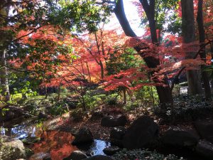 まうな歯科医院